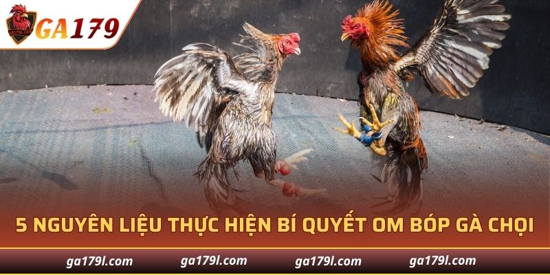 5 nguyên liệu thực hiện bí quyết om bóp gà chọi
