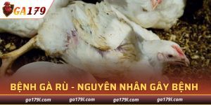 Bệnh Gà Rù