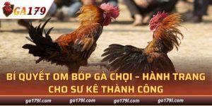 Bí Quyết Om Bóp Gà Chọi
