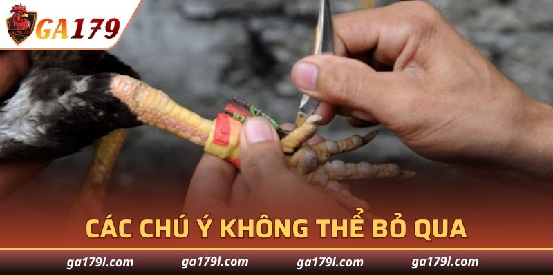 Các chú ý không thể bỏ qua