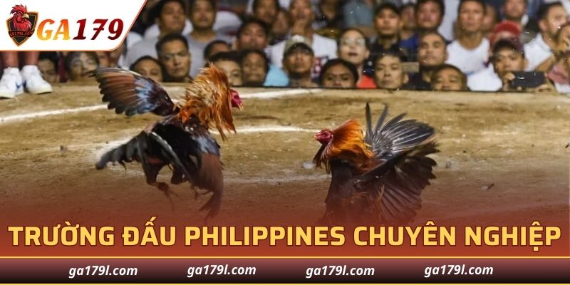 Các trường đấu Philippines chuyên nghiệp với tỷ lệ thưởng cao