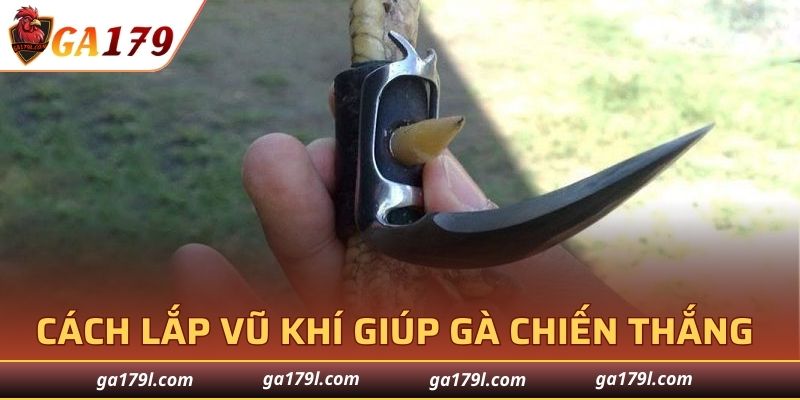 Cách lắp vũ khí giúp gà chiến thắng