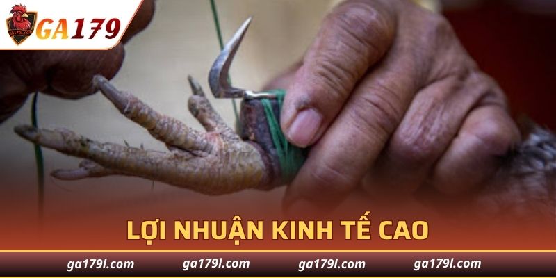 Có lợi nhuận kinh tế khá cao