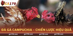 Đá Gà Campuchia