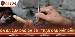 Đá Gà Cựa Dao