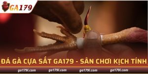 Đá Gà Cựa Sắt