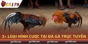 Đá Gà Trực Tuyến