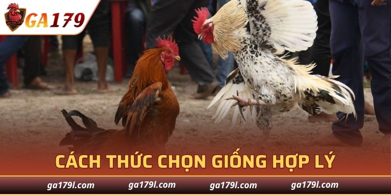 Đào tạo sức khỏe cho giống nòi