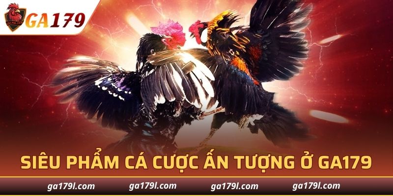 Đặt cược thể thao chuẩn quốc tế
