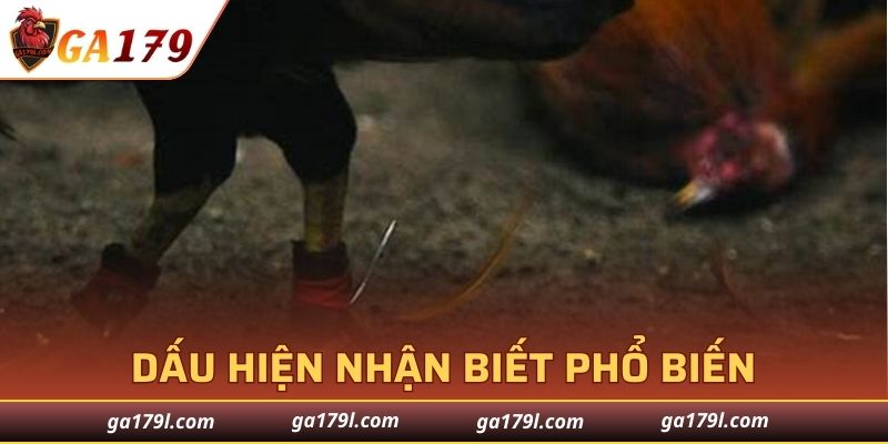 Điểm cơ bản nhận diễn dễ dàng