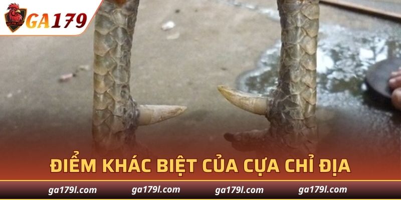 Điểm mạnh và khác biệt tạo nên sức mạnh của CCD trong GA179