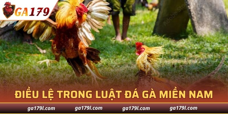 Điều lệ trong luật đá gà miền Nam