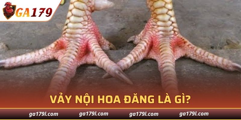 Đôi điều thú vị về vảy hoa đăng