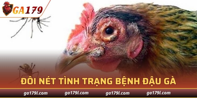 Đôi nét tình trạng bệnh đậu gà thường gặp