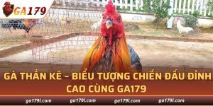 Gà Thần Kê