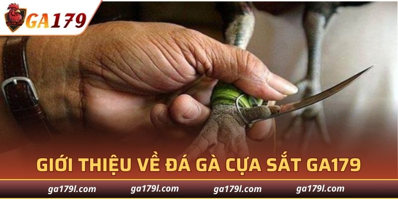 Giới thiệu về đá gà cựa sắt GA179