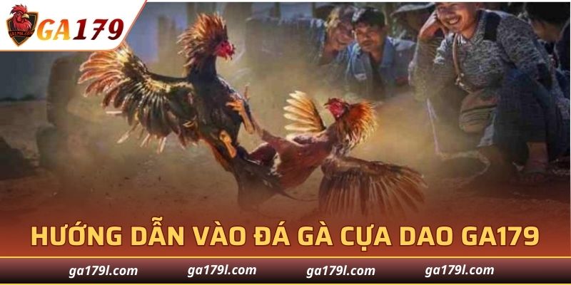 Hướng dẫn các bước vào đá gà cựa dao GA179
