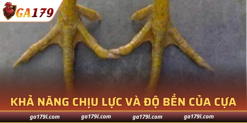 Khả năng chịu lực của móng tam cường
