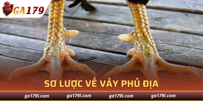 Khái quát về Vảy Phủ Địa hot hit