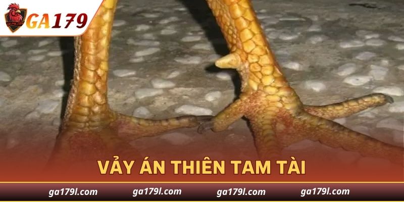 Khám phá lớp sừng Án Thiên Tam Tài thú vị của kê chiến
