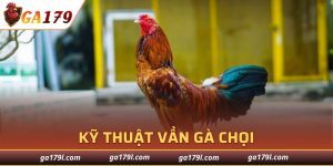Kỹ Thuật Vần Gà Chọi