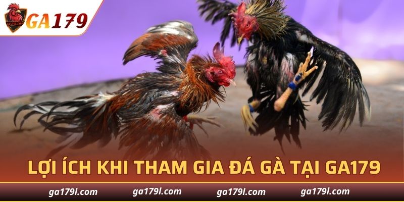 Lợi ích nổi bật khi tham gia đá gà Campuchia tại GA179