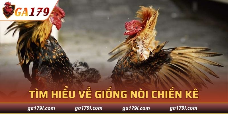 Lựa chọn giống nuôi phù hợp