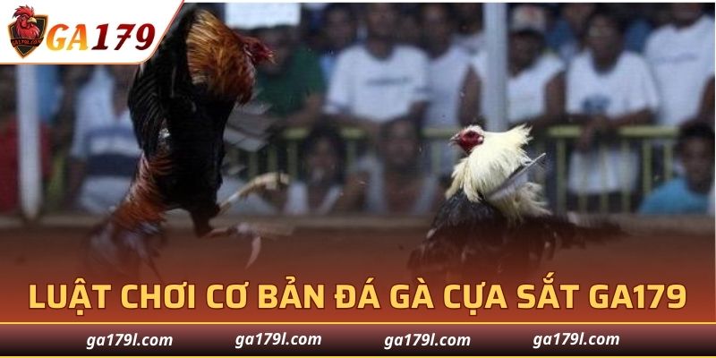 Luật chơi cơ bản đá gà cựa sắt GA179