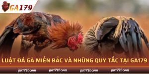 Luật đá gà Miền Bắc
