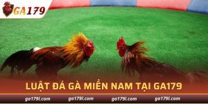 Luật Đá Gà Miền Nam