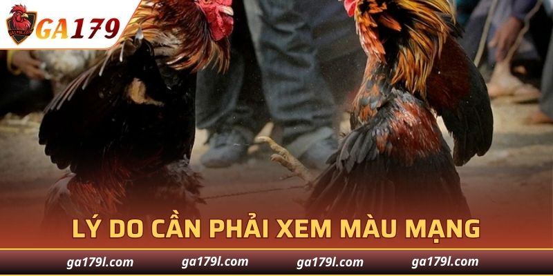 Lý do cần phải xem màu mạng