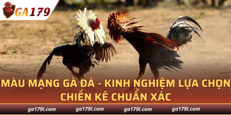 Màu Mạng Gà Đá