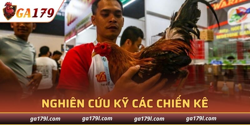 Nghiên cứu kỹ các chiến kê trước khi đặt cược tiền