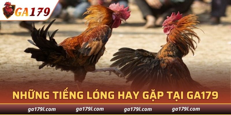 Những tiếng lóng hay gặp tại GA179