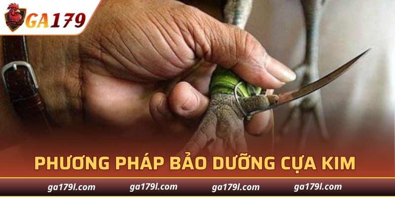 Phương pháp bảo dưỡng Cựa Kim