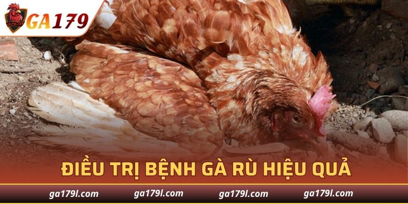 Phương pháp điều trị bệnh gà rù hiệu quả