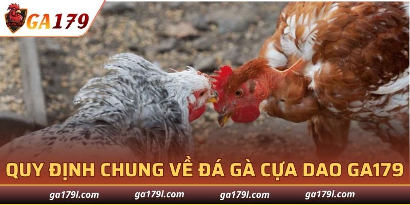 Quy định chung về đá gà cựa dao GA179