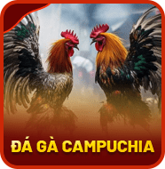 Sảnh Đá Gà Campuchia