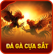 Sảnh Đá Gà Cựa Sắt