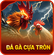 Sảnh Đá Gà Cựa Tròn