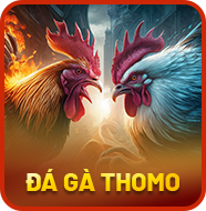 Sảnh Đá Gà Thomo