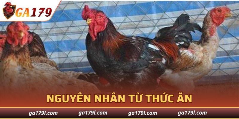 Tác động trực tiếp từ nguồn thực phẩm