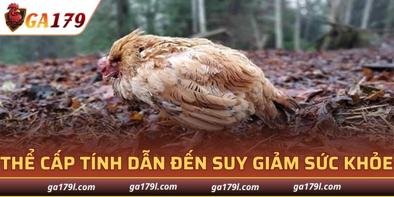 Thể cấp tính thể hiện qua sự suy giảm nhanh chóng sức khỏe