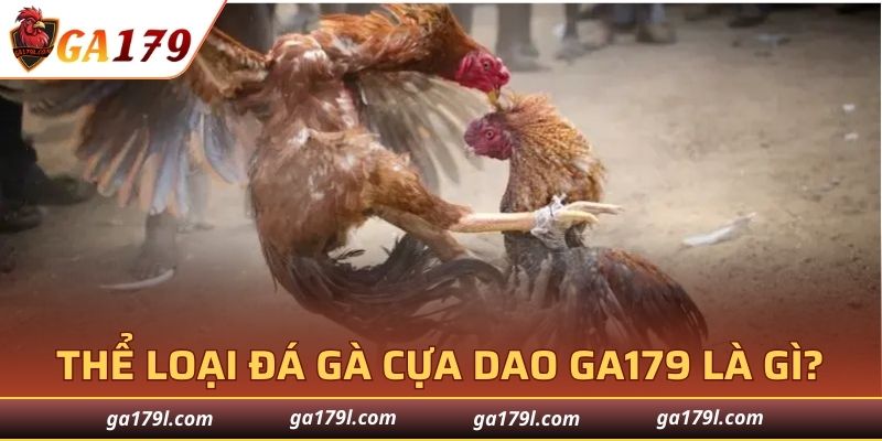 Thể loại đá gà cựa dao GA179 là gì?