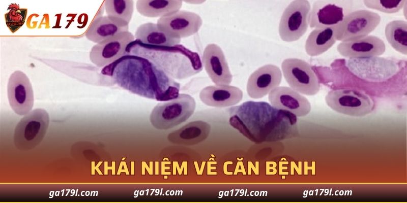 Thông tin cơ bản cần phải nắm được