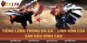 Tiếng Lóng Trong Đá Gà
