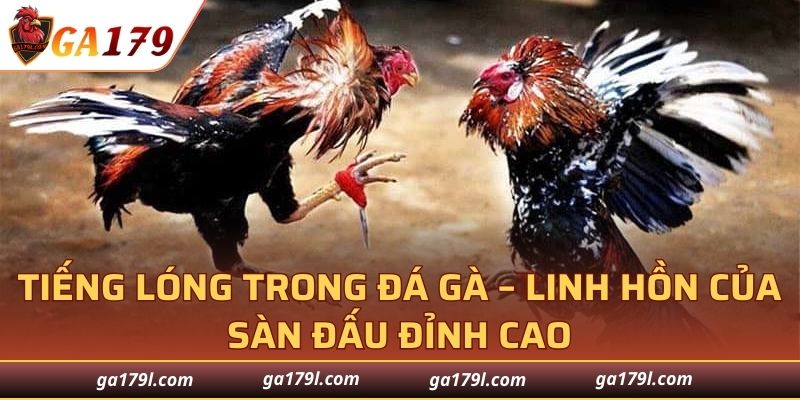 Tiếng Lóng Trong Đá Gà