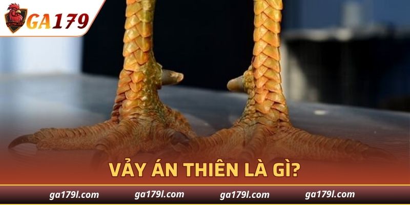 Tổng quan về Vảy Án Thiên độc đáo