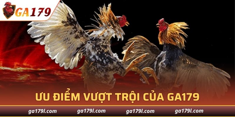 Trò chơi phong phú và cuốn hút