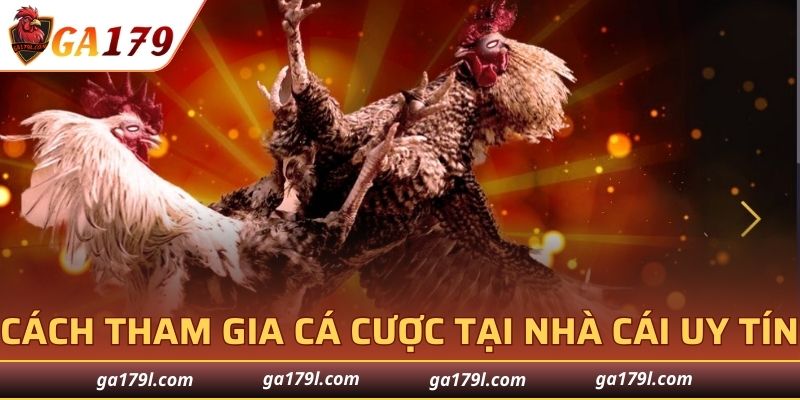 Truy cập vào nhà cái với tốc độ nhanh chóng